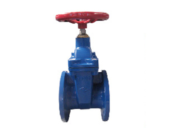 Cast Iron Gate Valve